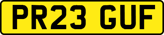 PR23GUF