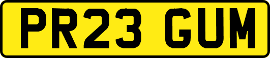PR23GUM