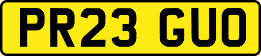 PR23GUO