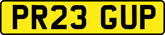 PR23GUP