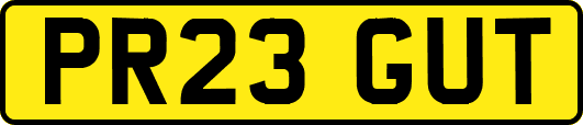PR23GUT