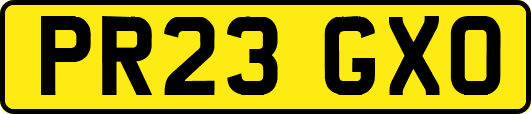 PR23GXO