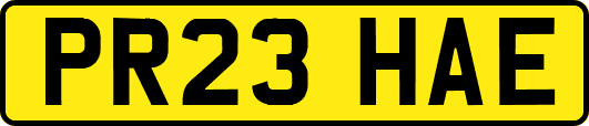PR23HAE
