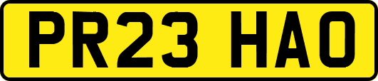 PR23HAO