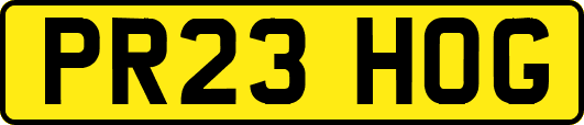 PR23HOG