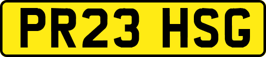 PR23HSG
