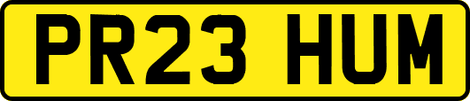 PR23HUM