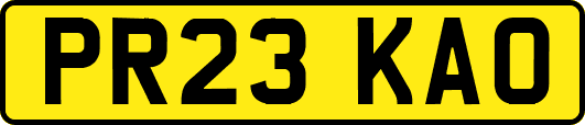 PR23KAO