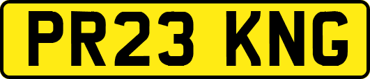 PR23KNG