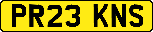 PR23KNS