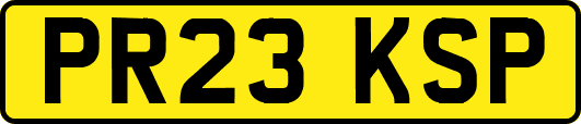 PR23KSP