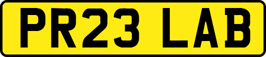 PR23LAB