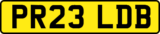 PR23LDB