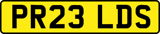 PR23LDS