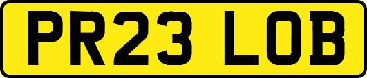 PR23LOB
