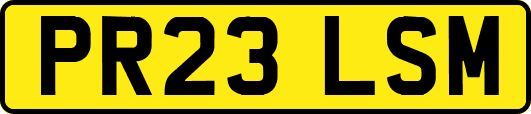 PR23LSM
