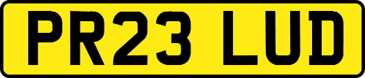 PR23LUD