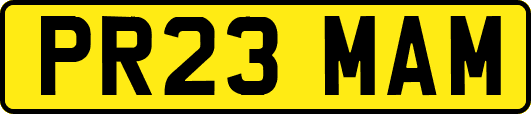 PR23MAM