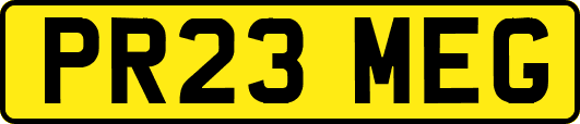 PR23MEG
