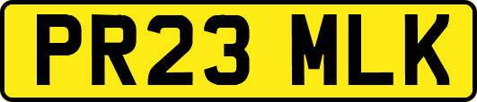 PR23MLK