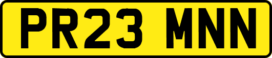 PR23MNN