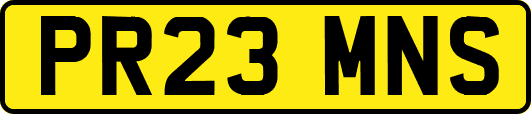 PR23MNS