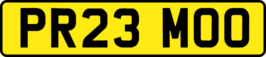 PR23MOO