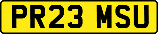 PR23MSU