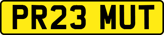 PR23MUT