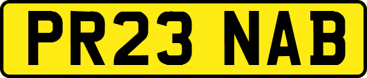 PR23NAB