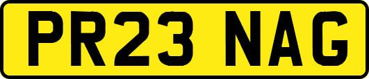 PR23NAG