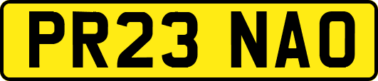 PR23NAO