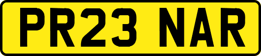 PR23NAR