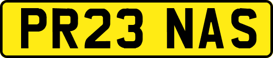PR23NAS