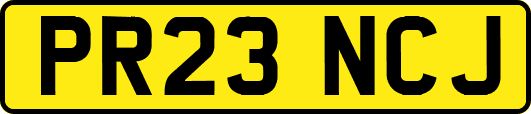 PR23NCJ