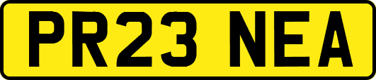 PR23NEA