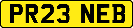 PR23NEB