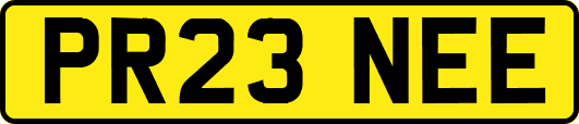 PR23NEE