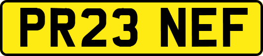 PR23NEF