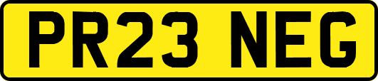 PR23NEG