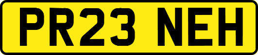 PR23NEH