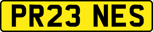 PR23NES