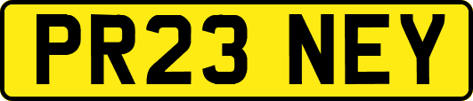 PR23NEY