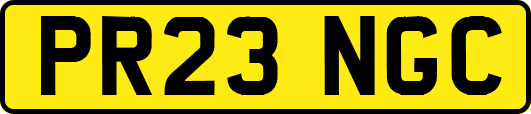 PR23NGC