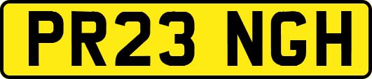 PR23NGH