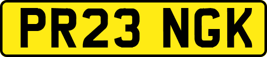 PR23NGK