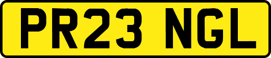 PR23NGL