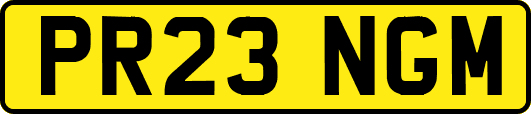 PR23NGM