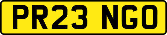 PR23NGO