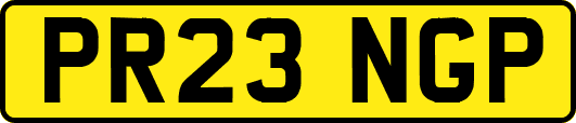 PR23NGP
